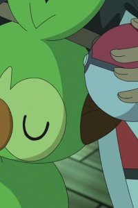 Pokémon – S24E11 – Lost Sarunori! Who is the Trainer!?