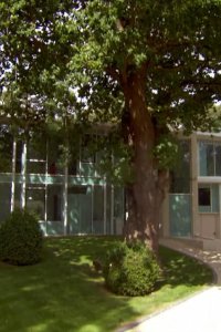Grand Designs – S11E02 – The Contemporary Mansion, London