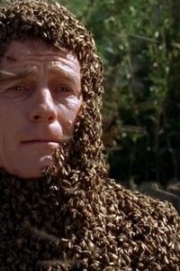 Malcolm in the Middle – S01E14 – The Bots and the Bees