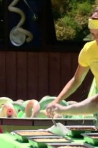 Big Brother – S11E17 – Episode #11.17