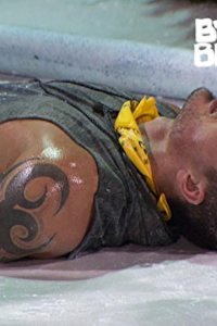 Big Brother – S16E30 – Episode #16.30