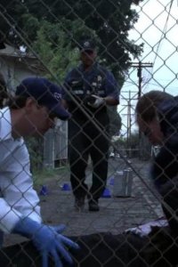 CSI: Crime Scene Investigation – S06E07 – A Bullet Runs Through It: Part 1