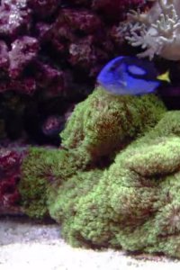 How It’s Made – S19E13 – Space Pens, Reef Aquariums, Metal Caskets, Composite Bike Wheels