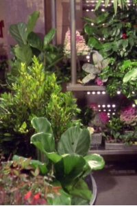 Star Trek: Enterprise – S01E20 – Oasis