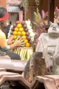 The Amazing Race – S22E04 – I Love Monkeys!
