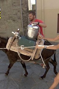 The Amazing Race – S29E08 – Good Job, Donkey