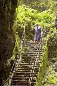 The Amazing Race – S35E10 – Everyone Loves a Comeback Story
