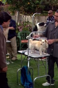George Lopez – S02E10 – Charity