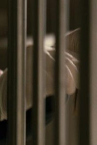 CSI: Miami – S03E14 – One Night Stand