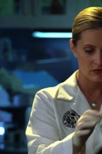 CSI: Miami – S03E19 – Sex & Taxes