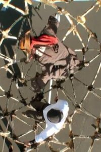 MythBusters – S10E04 – Swinging Pirates