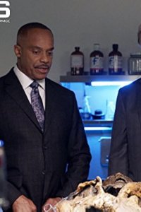 NCIS – S15E08 – Voices