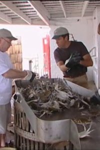 Dirty Jobs – S01E05 – Vexcon
