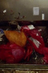 Dirty Jobs – S08E07 – Medical Waste