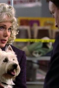 CSI: NY – S01E12 – Recycling