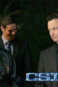CSI: NY – S03E17 – The Ride In