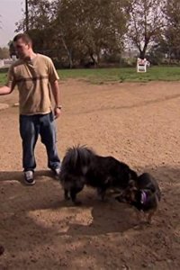 Dog Whisperer with Cesar Millan – S04E19 – Sasha and Angler