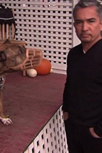 Dog Whisperer with Cesar Millan – S04E21 – Rufus and Buddy