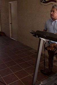 Dog Whisperer with Cesar Millan – S04E22 – Chipper and Rudy & Monte