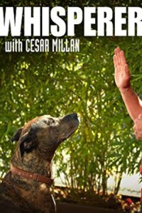 Dog Whisperer with Cesar Millan – S05E18 – Run Home Roscoe!