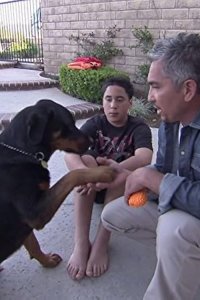 Dog Whisperer with Cesar Millan – S06E10 – Most Aggressive Breeds