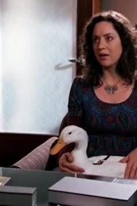 Boston Legal – S03E23 – Duck and Cover