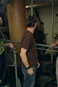 Ghost Hunters – S04E26 – Spirits on the Water