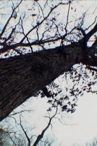 Ghost Hunters – S09E03 – Prescription for Fear