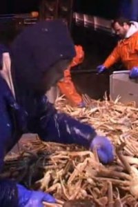 Deadliest Catch – S01E08 – Good Fishing