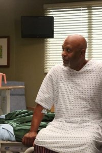 Grey’s Anatomy – S10E05 – I Bet It Stung