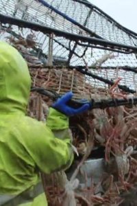 Deadliest Catch – S09E13 – So You Wanna Be a Boat Owner…