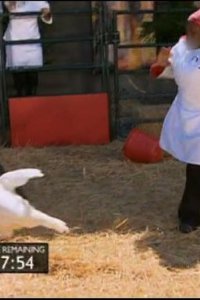 Hell’s Kitchen – S11E07 – 14 Chefs Compete