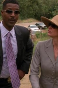 The Closer – S05E08 – Elysian Fields