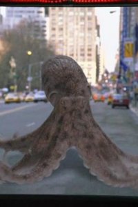My Name Is Earl – S04E01 – The Magic Hour