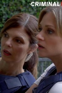 Criminal Minds – S09E07 – Gatekeeper