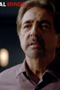Criminal Minds – S09E09 – Strange Fruit