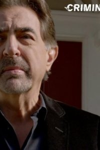 Criminal Minds – S09E13 – The Road Home