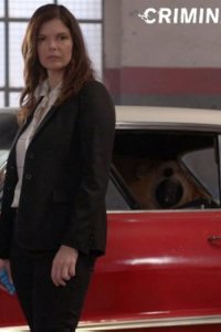 Criminal Minds – S09E22 – Fatal