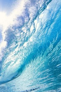 Bondi Rescue – S01E01 – Episode #1.1