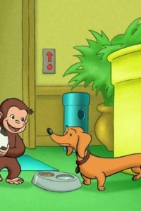 Curious George – S02E06 – All-New Hundley/Signs Up