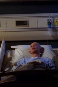 Brothers & Sisters – S04E11 – A Bone to Pick