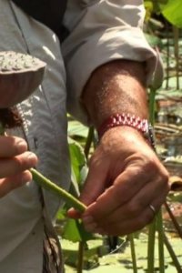 Bizarre Foods with Andrew Zimmern – S02E26 – Outback