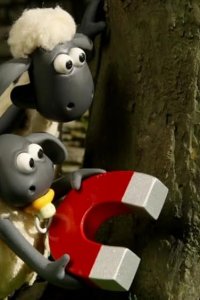 Shaun the Sheep – S02E31 – The Magpie