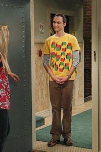 The Big Bang Theory – S04E01 – The Robotic Manipulation