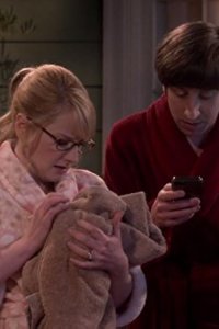 The Big Bang Theory – S09E15 – The Valentino Submergence