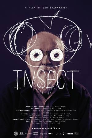 Insect