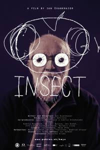 Insect