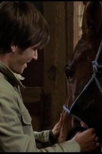 Heartland – S02E15 – Dark Horse