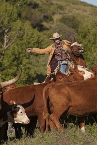 Heartland – S06E03 – Keeping Up Appearances