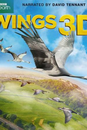 Wings